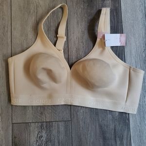 NWT CACIQUE BRA 40D